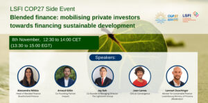 Blended finance: catalysing private sector investors towards financing sustainable development